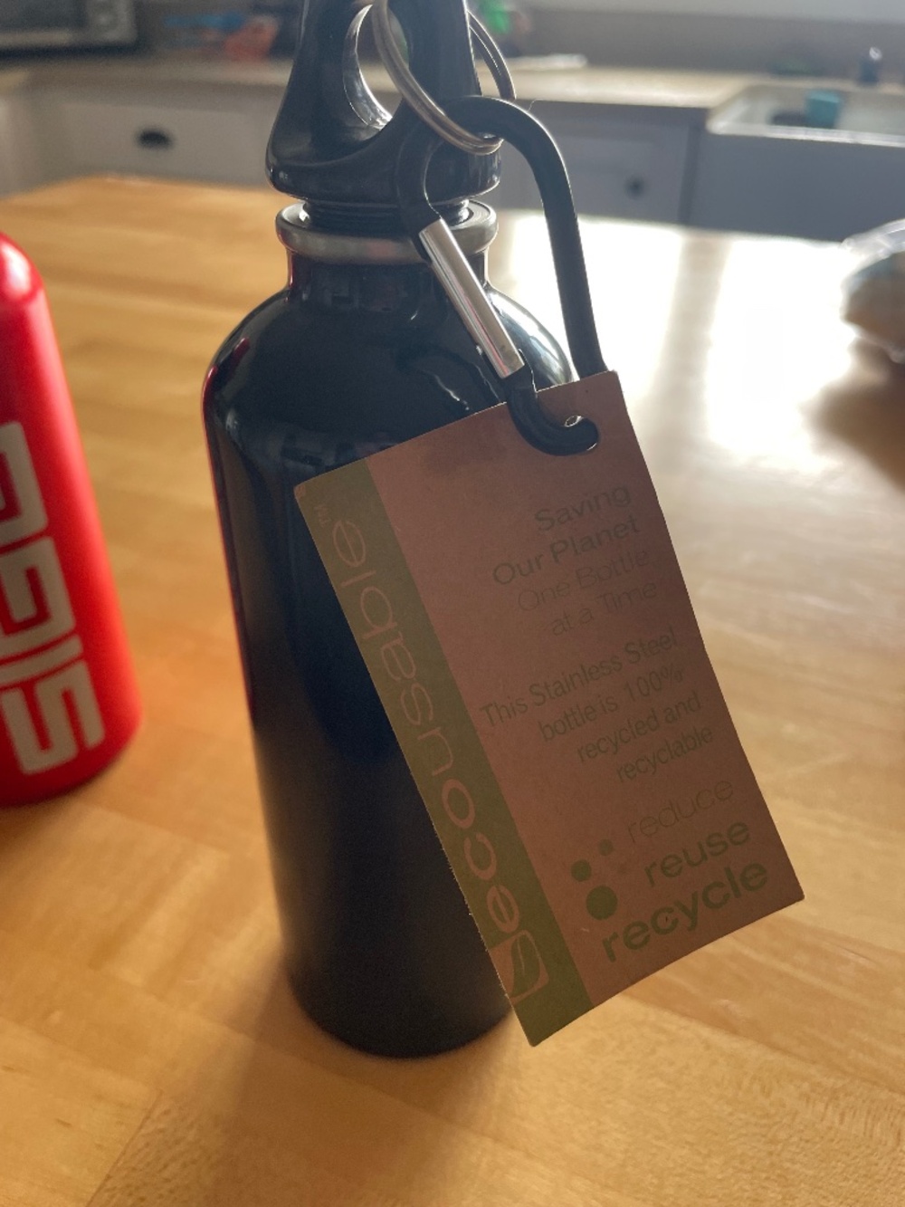 EcoUsable Stainless Water Bottle NWT